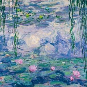 Meet your Posher, Molly